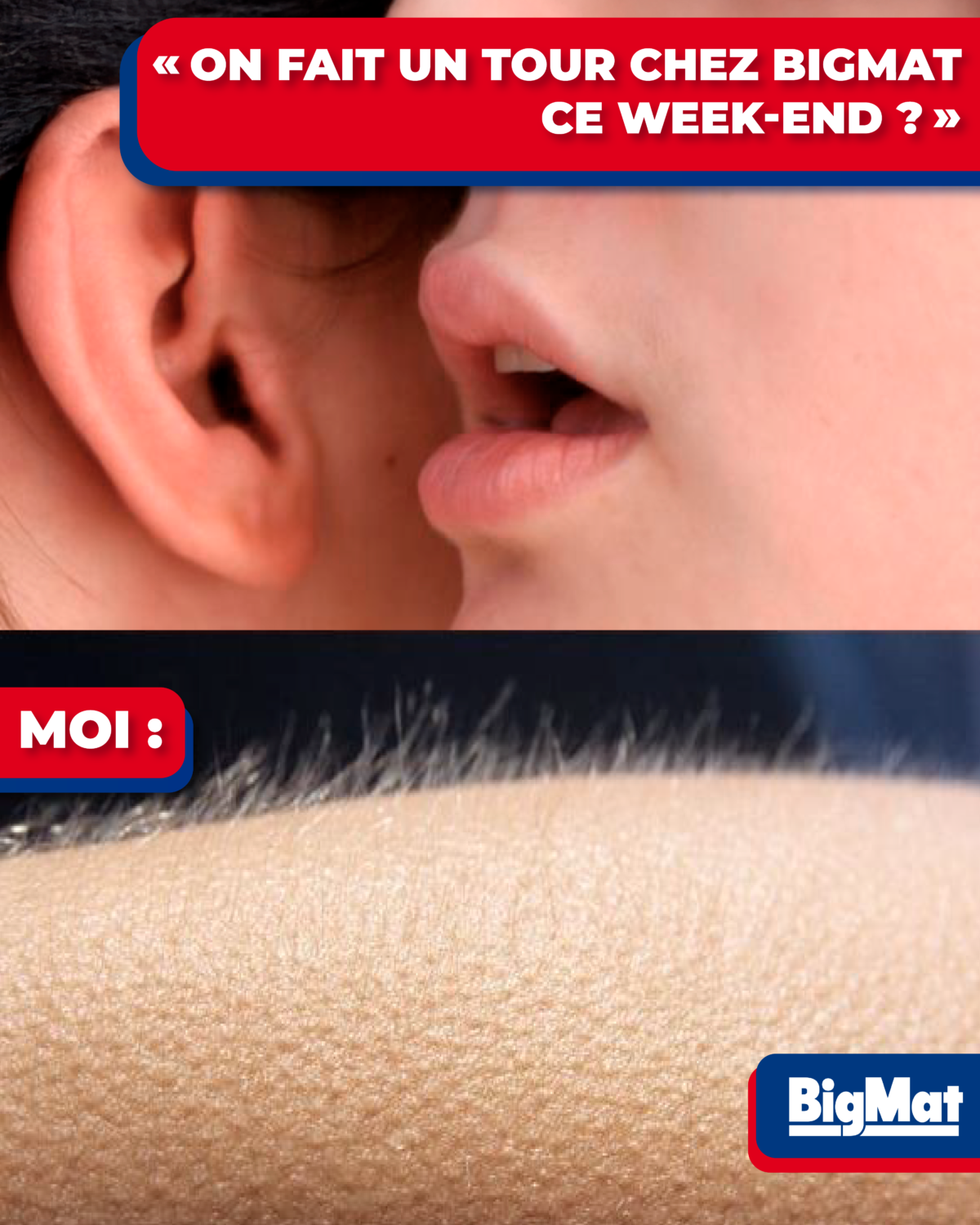 ANIMER DES COMMUNAUTÉS